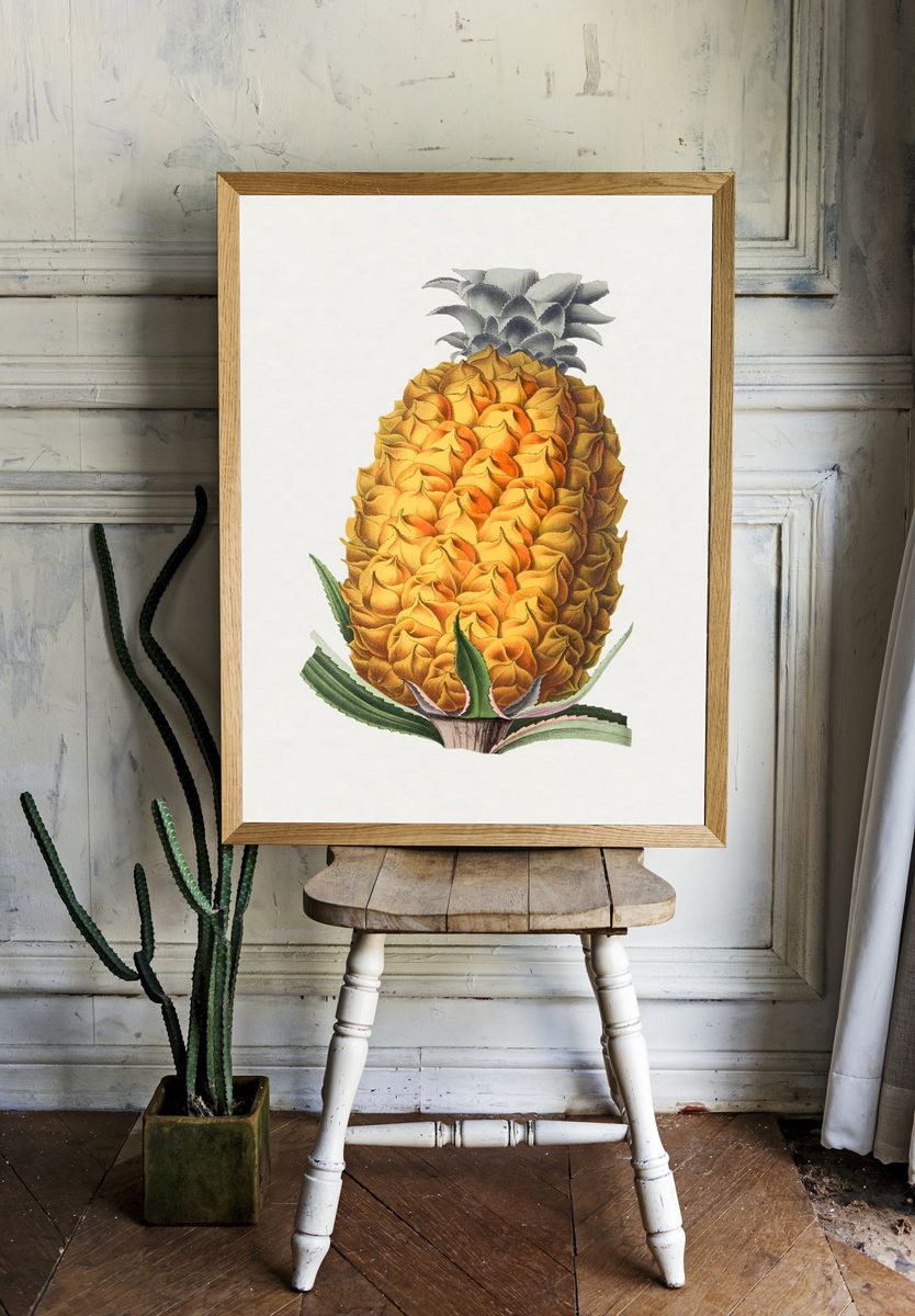 Pineapple Botanical Illustration Poster. — room view 1