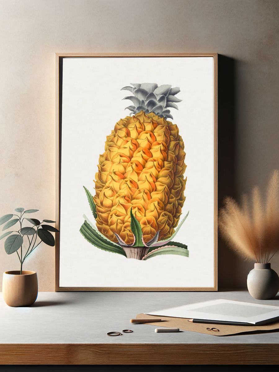 Pineapple Botanical Illustration Poster. — room view 2