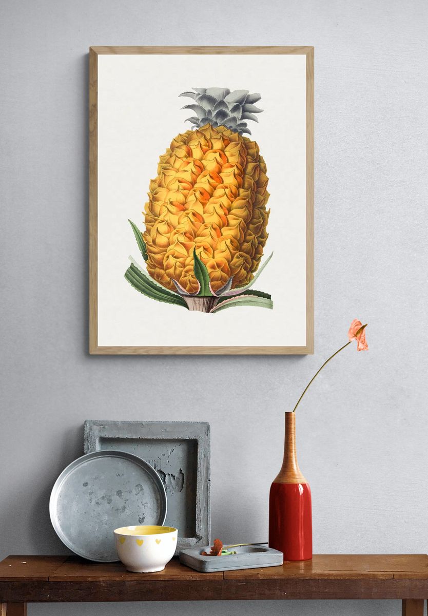 Pineapple Botanical Illustration Poster. — room view 3