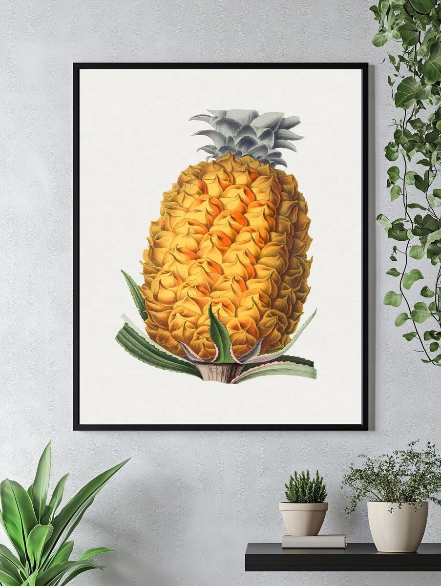 Pineapple Botanical Illustration Poster. — room view 4
