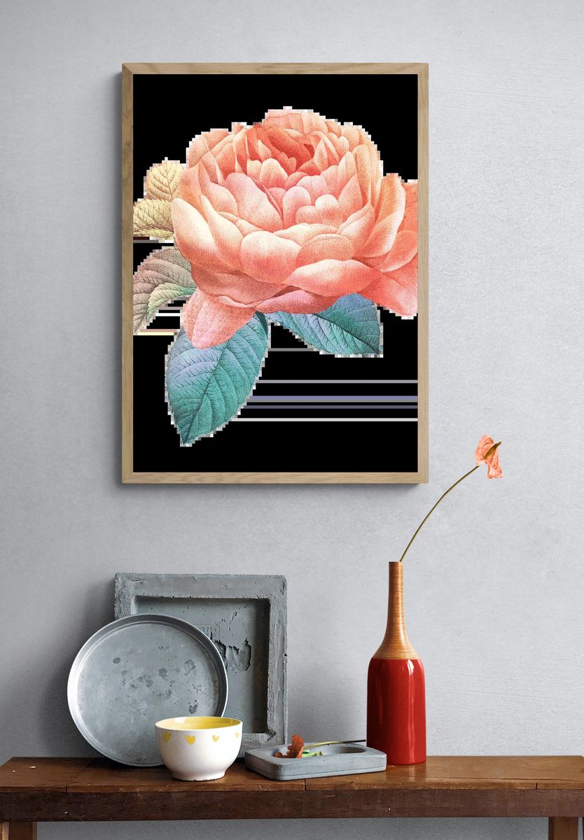 Natural green Calathea Orbifolia pink. — room view 3