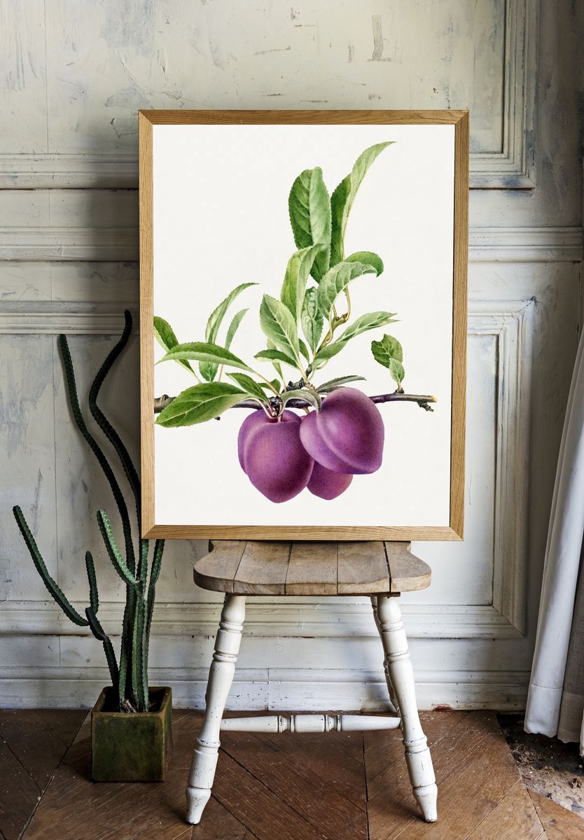 Delicious purple plum branch illustration. — room view 1