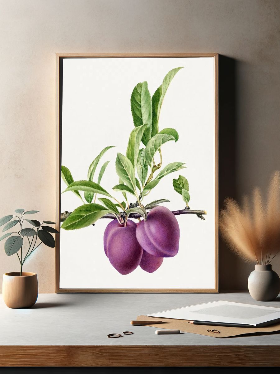 Delicious purple plum branch illustration. — room view 2