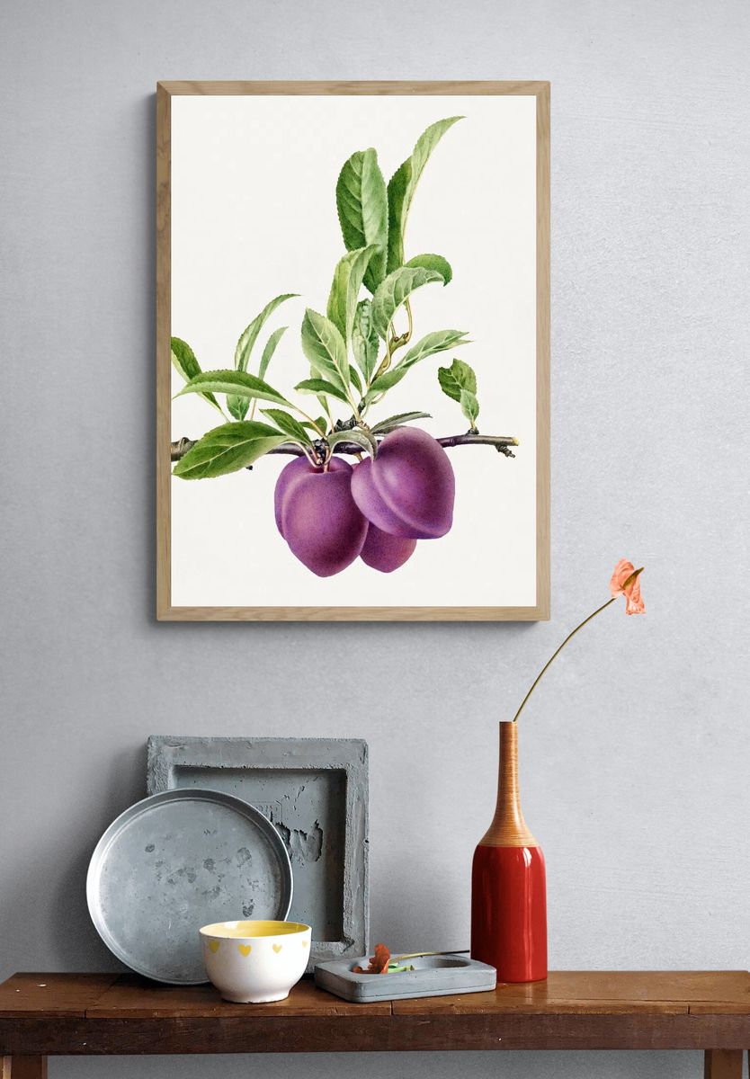Delicious purple plum branch illustration. — room view 3