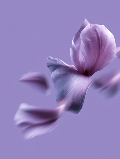 Lavender Petals Abstract Floral Poster.