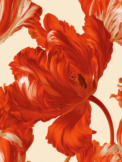 Red Tulip Bloom Illustration Poster.