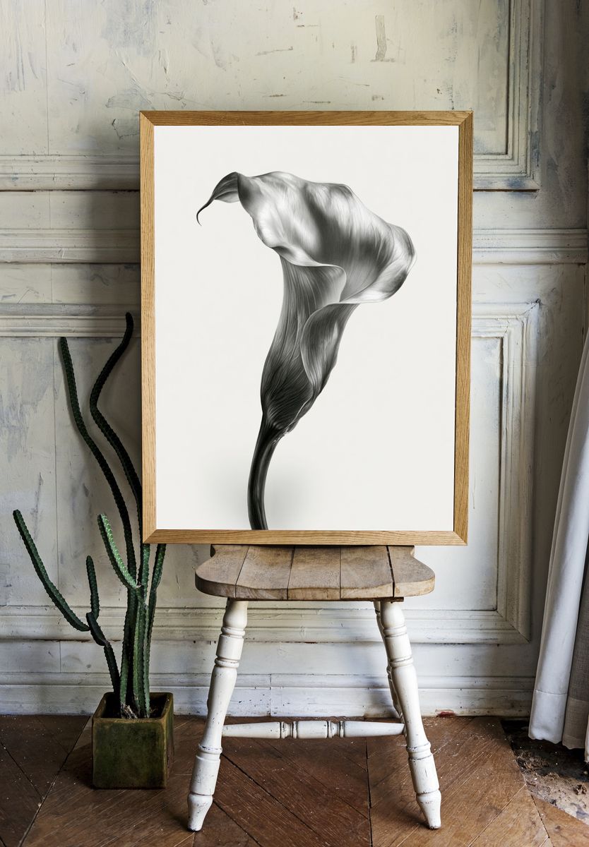 Calla Lily Monochrome Print. — room view 1