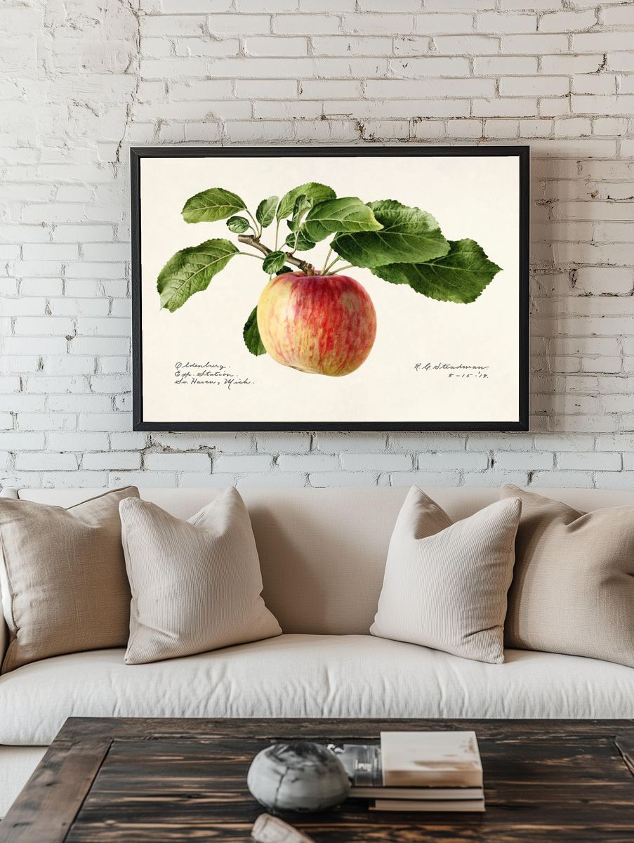 Apple (Malus Domestica) (1919) Royal. room preview