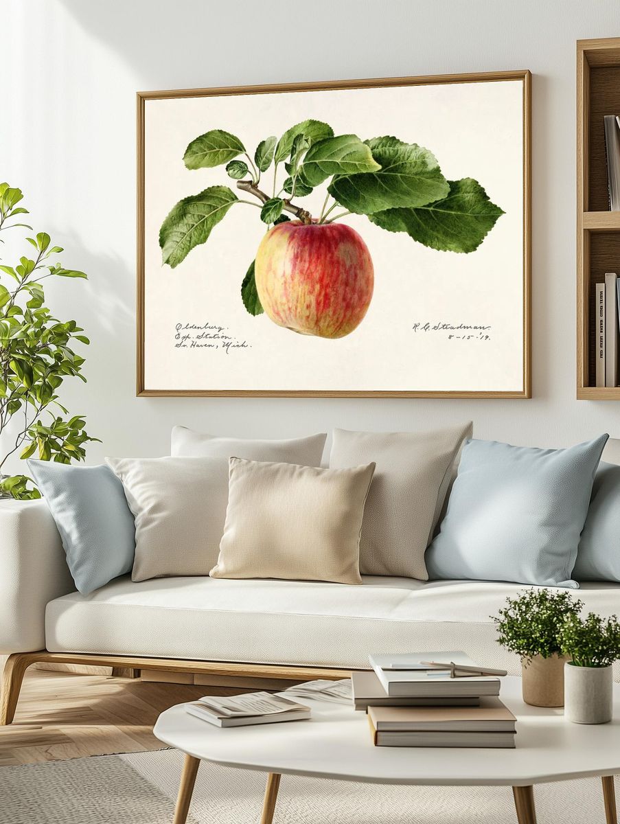 Apple (Malus Domestica) (1919) Royal. — room view 2