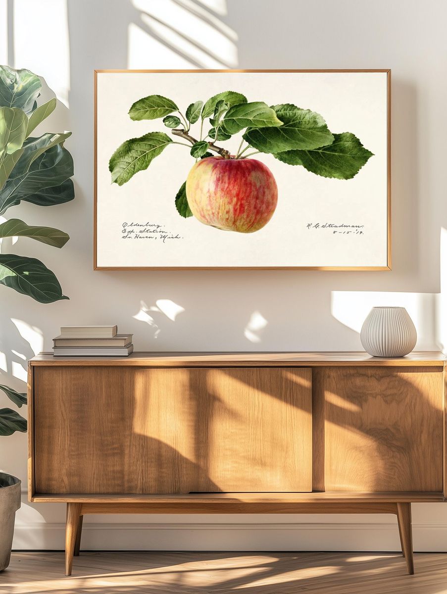 Apple (Malus Domestica) (1919) Royal. — room view 3