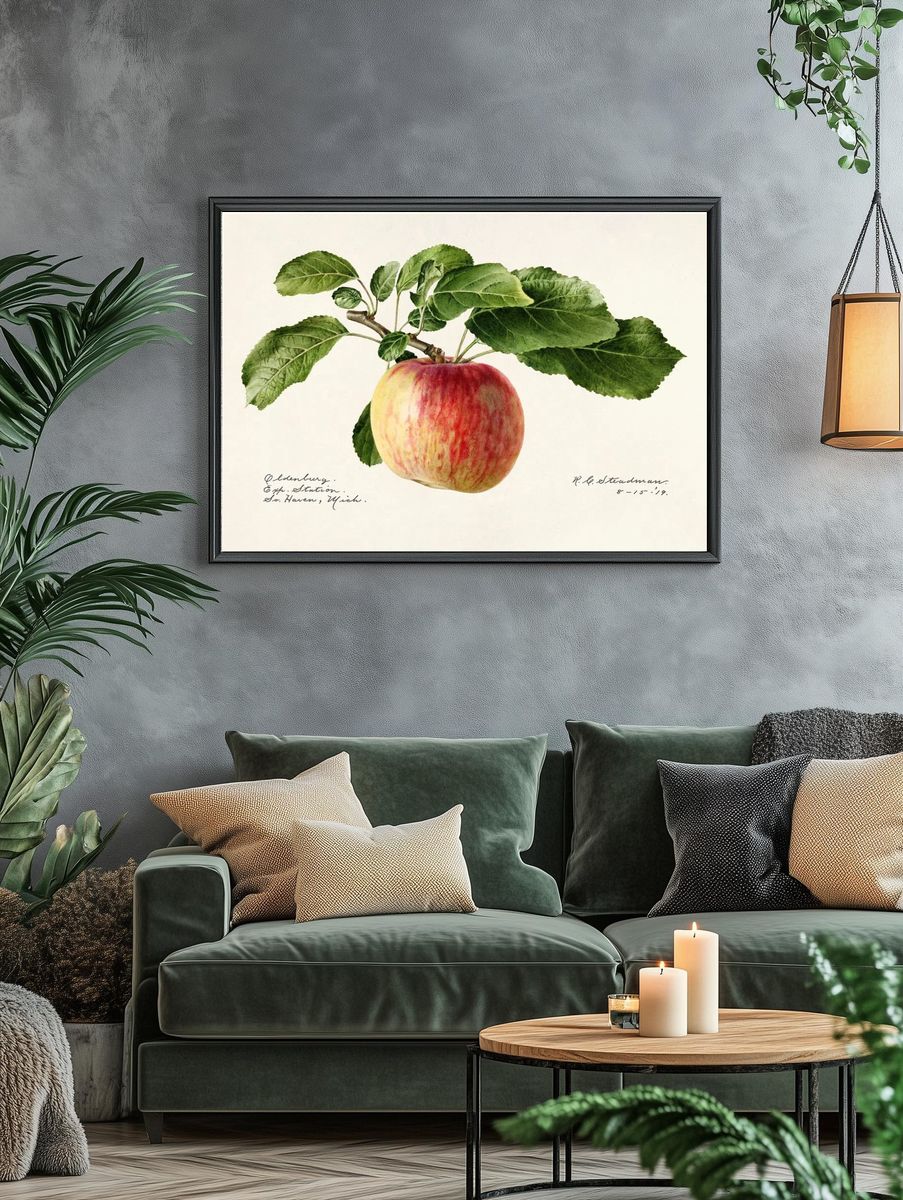 Apple (Malus Domestica) (1919) Royal. — room view 4