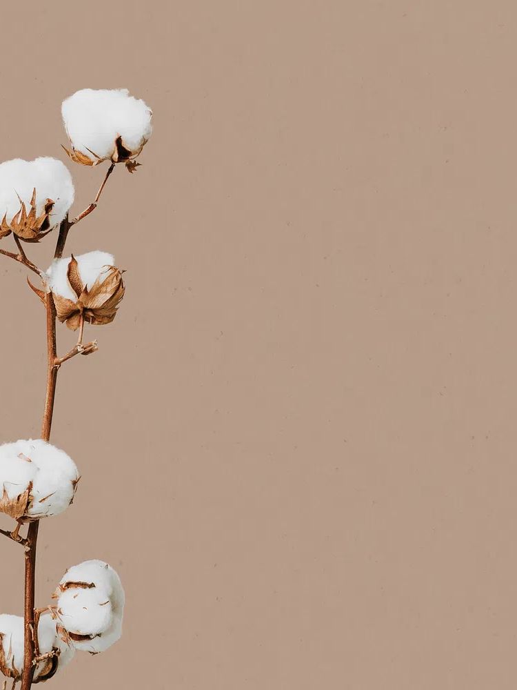 Natural dried flower floral background. poster — botanical art