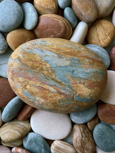 Smooth Pebbles Botanical Print. poster