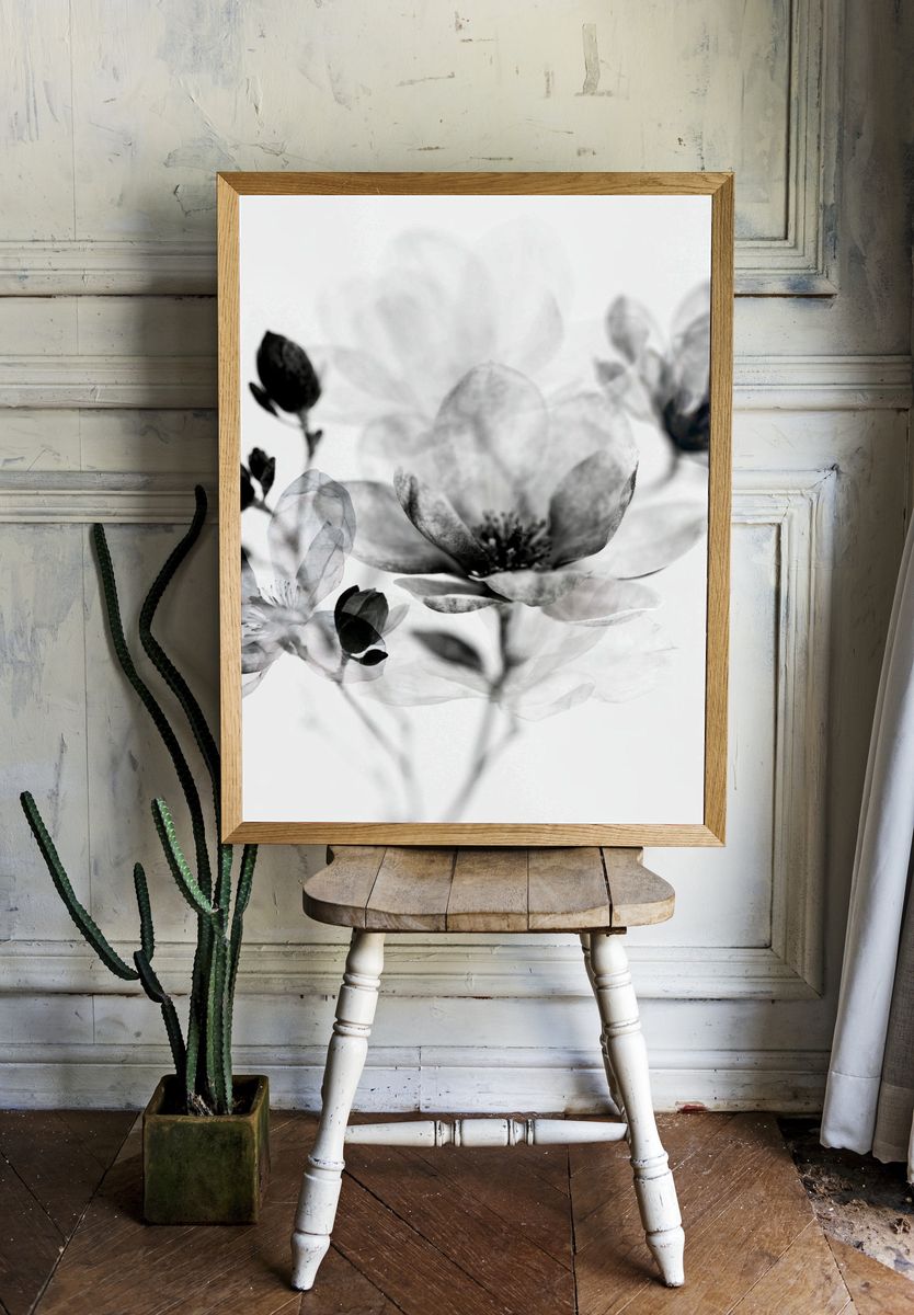 Monochrome Blossom Botanical Print. room preview