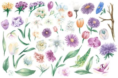 Vintage weatercolor floral ornaments. poster print