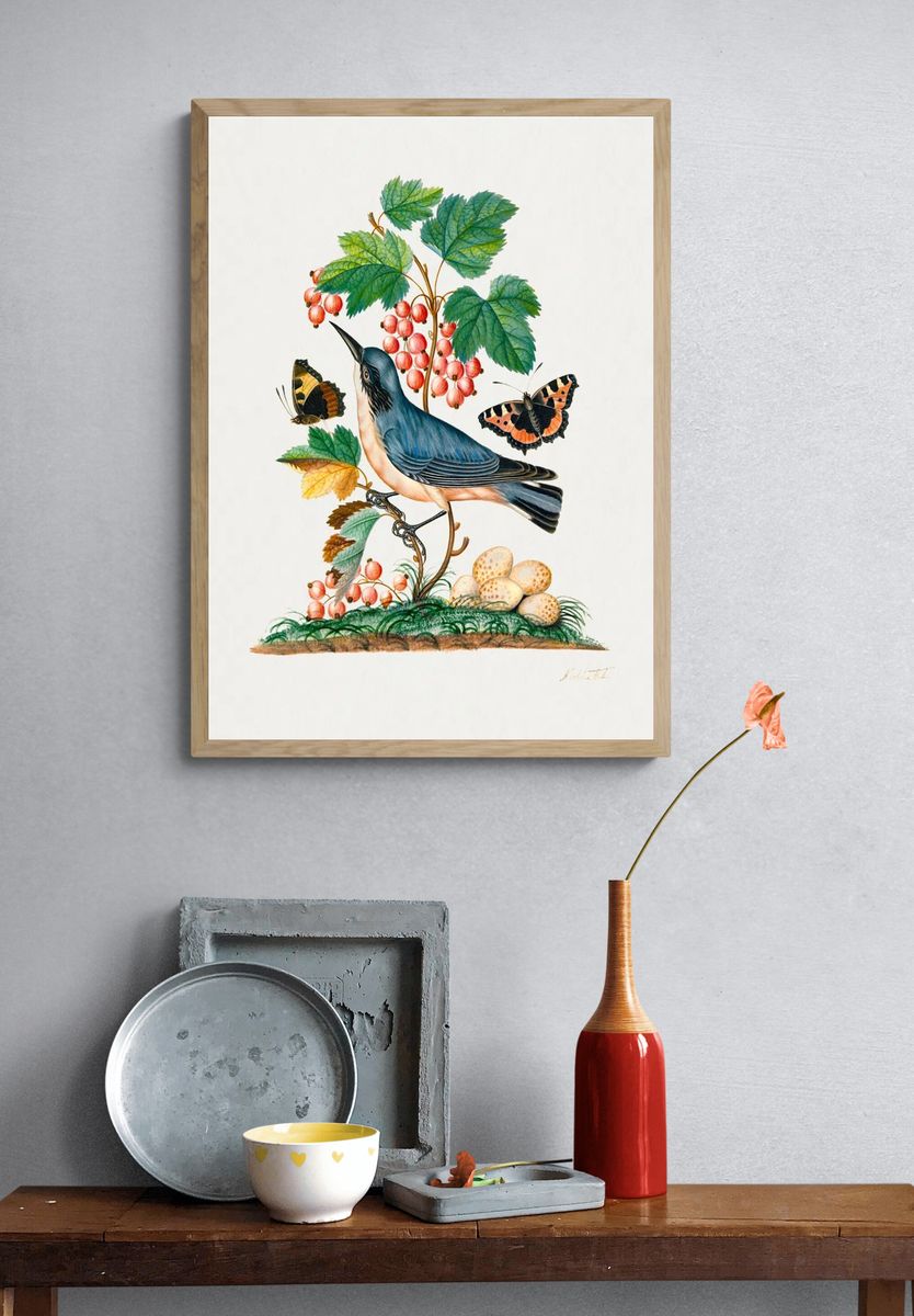 Subalpine warbler eggs, strawberry, Red. — room view 3