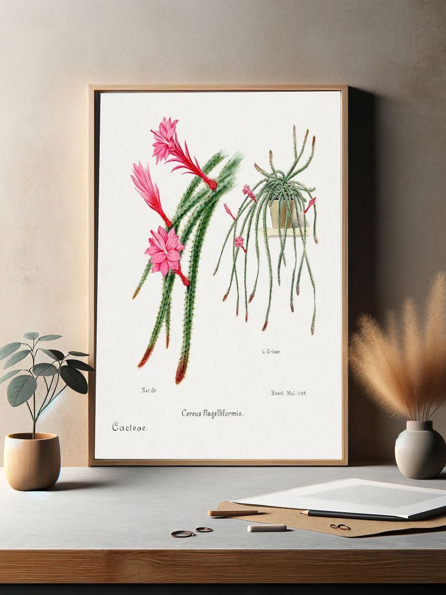 Cactus Flowers — Botanical Print. — room view 2