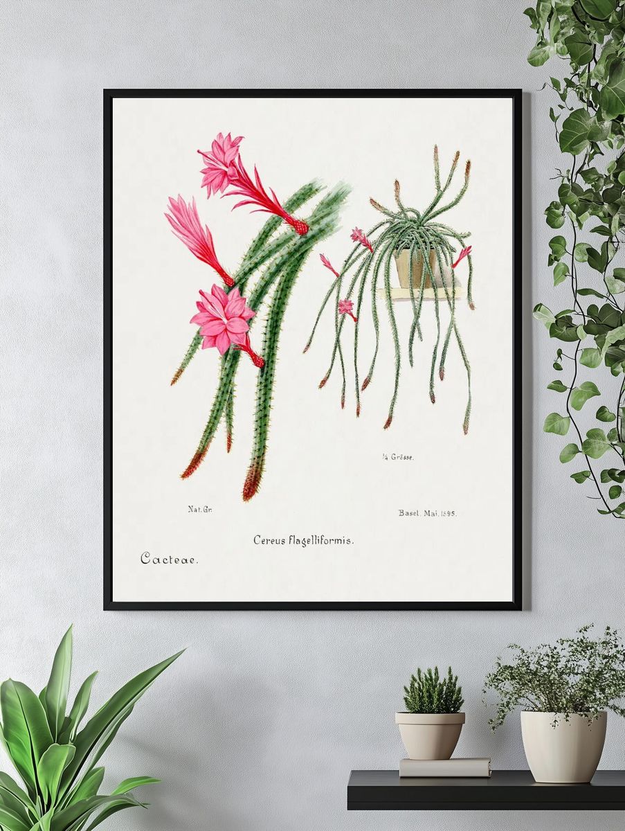 Cactus Flowers — Botanical Print. — room view 4