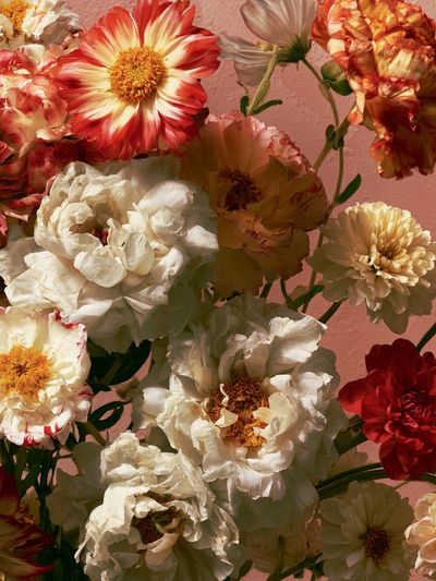 Vintage Zinnia Bouquet Print.