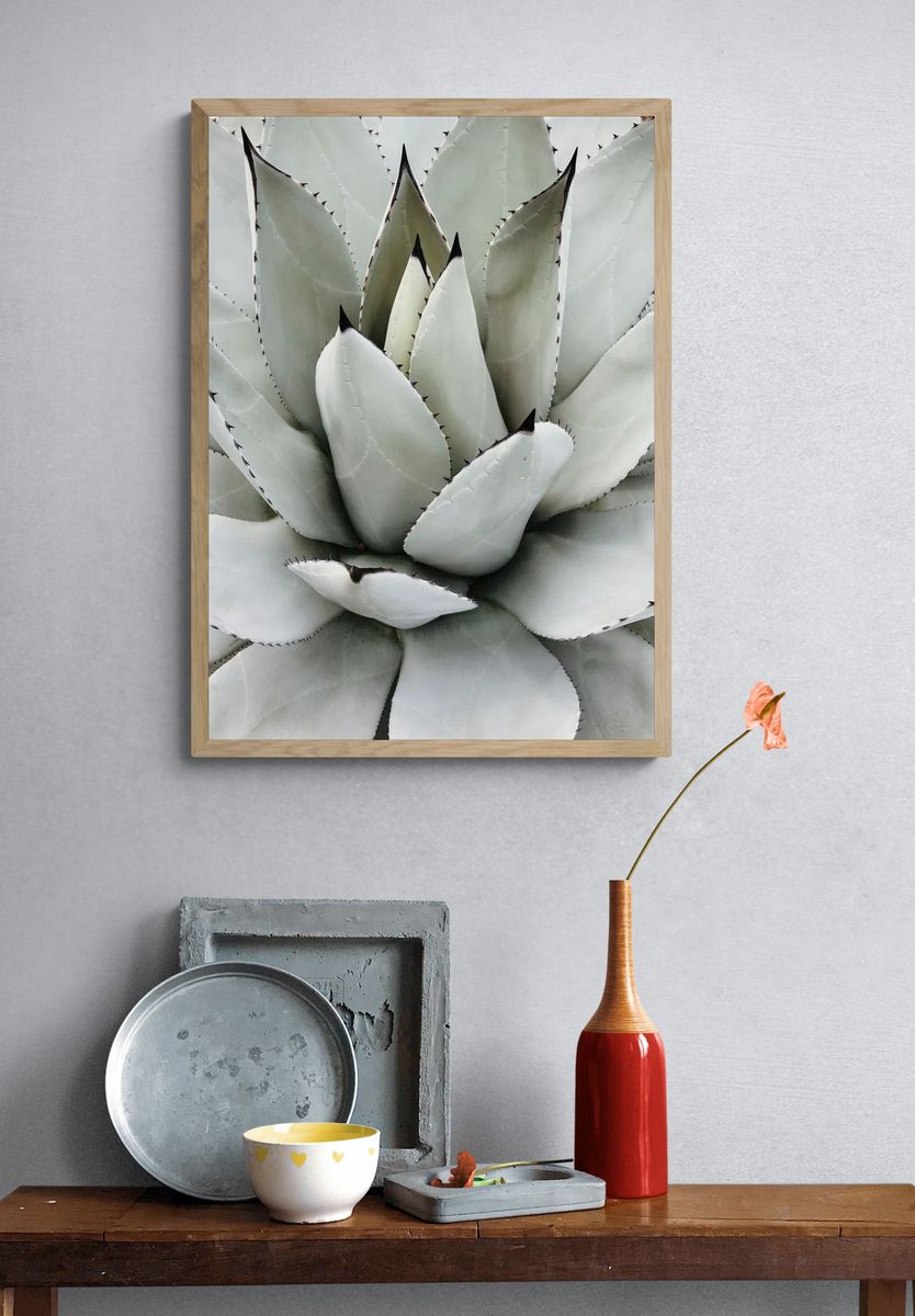 Agave Succulent Botanical Print. — room view 3