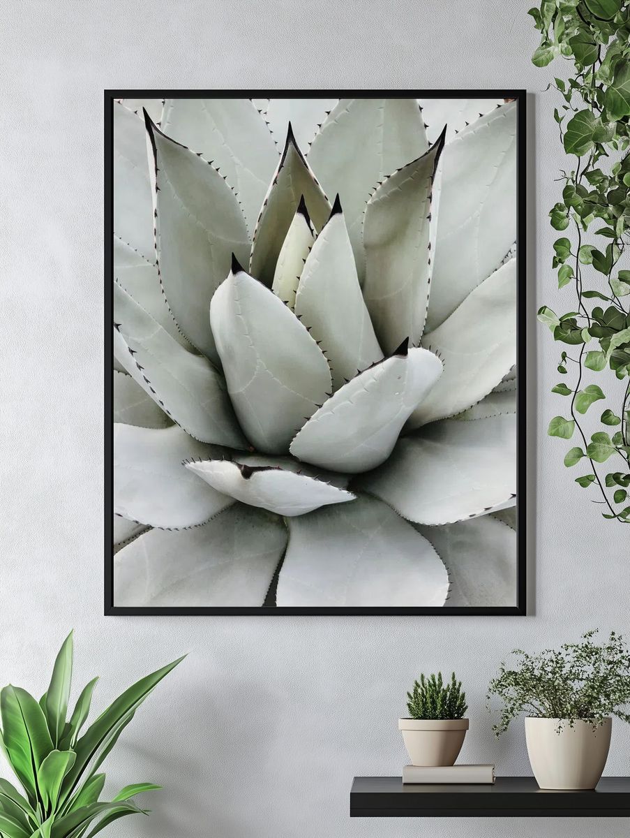 Agave Succulent Botanical Print. — room view 4
