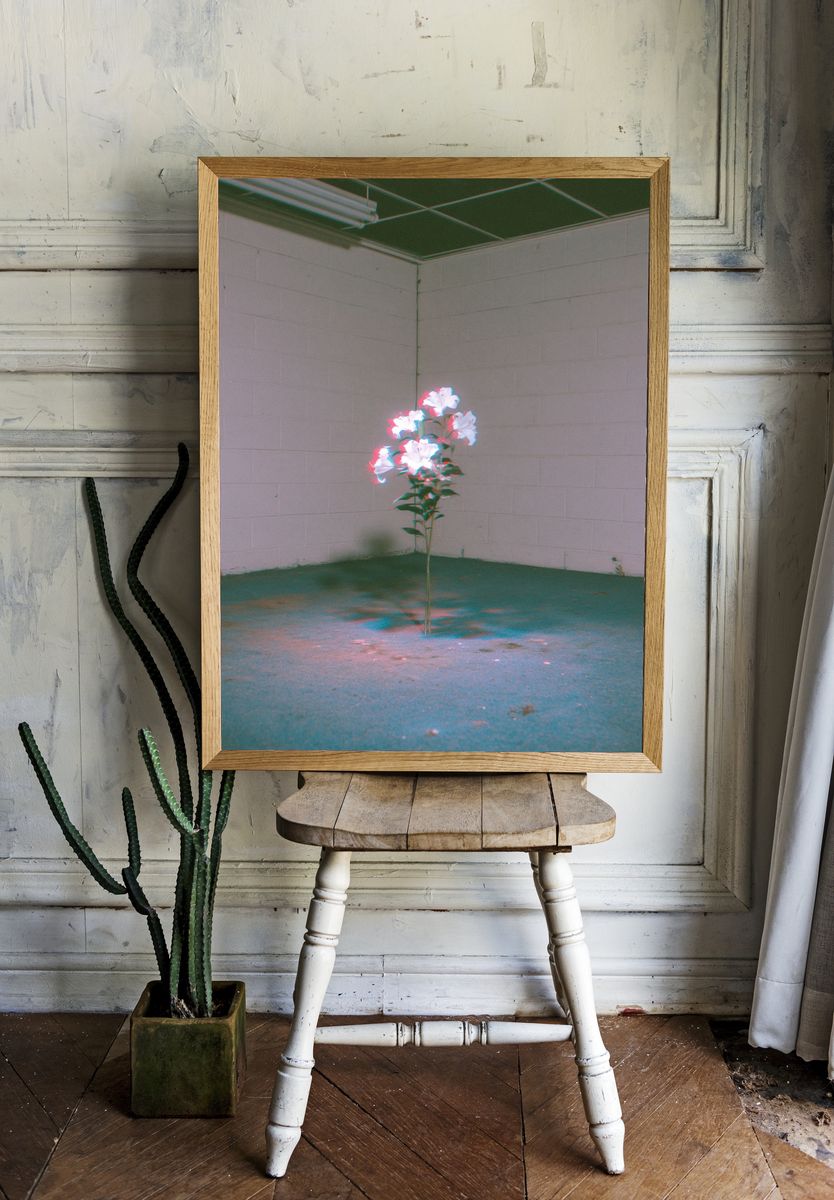 Glowing Flowers in Empty Room Print. room preview