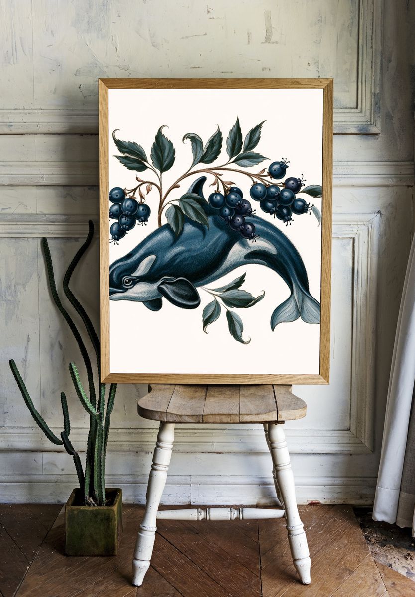 Orca and Blueberries Botanical Print. room preview