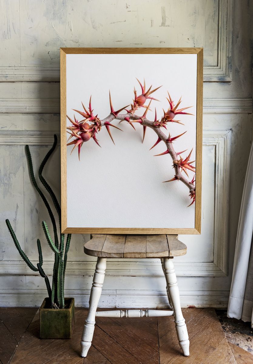 Spiny Branch Botanical Print. room preview