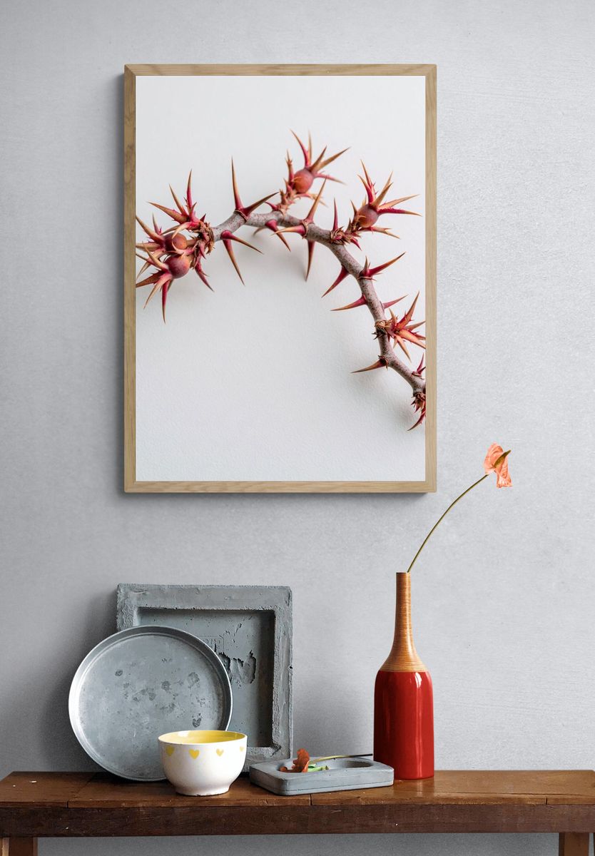 Spiny Branch Botanical Print. — room view 3