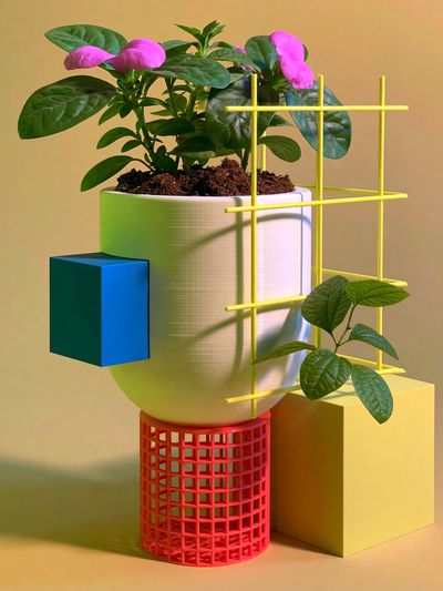 Geometric Plant Still Life Poster. poster