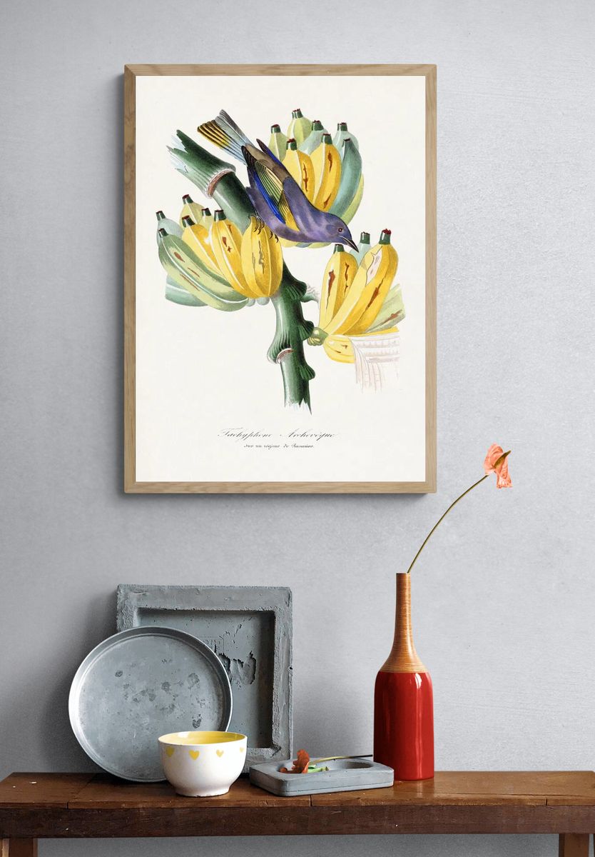 Tachyphone archeveque bird painting. Digitally. — room view 3