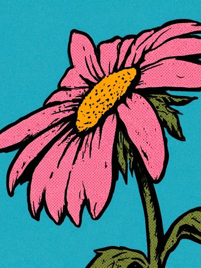Pink Daisy Illustration Poster.