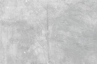 Gray star gooseberry leaf textured. poster print