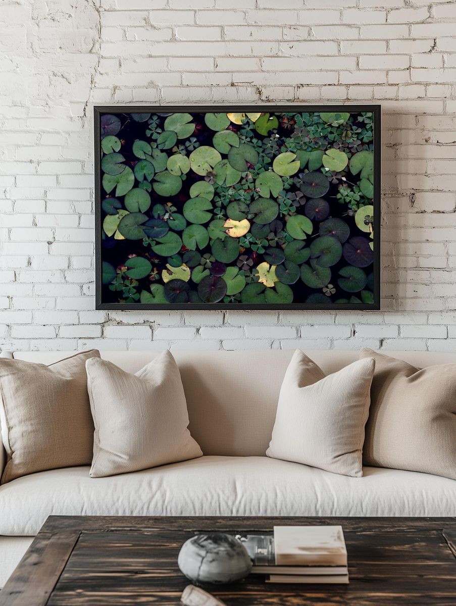 Water lily pond. Free public. room preview