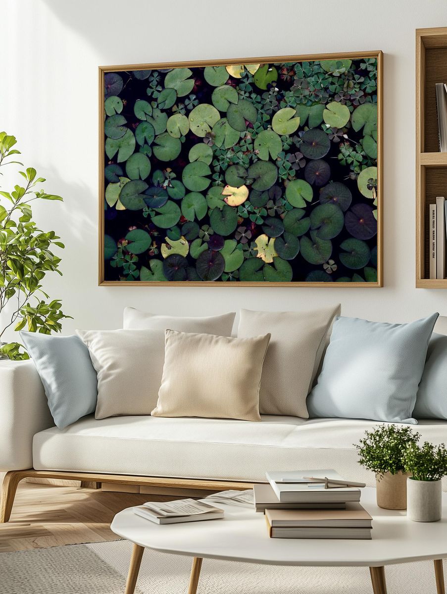 Water lily pond. Free public. — room view 2