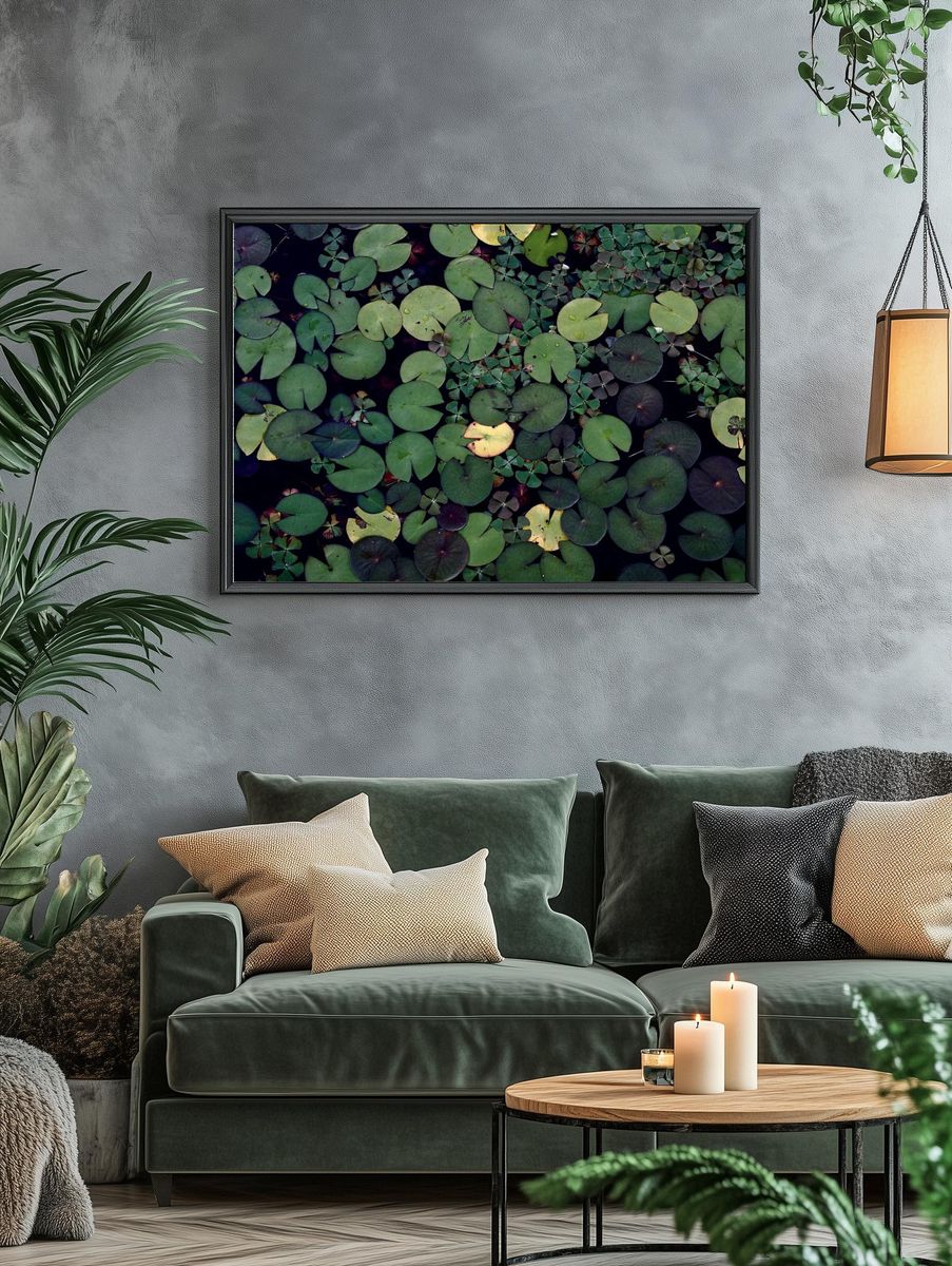 Water lily pond. Free public. — room view 4