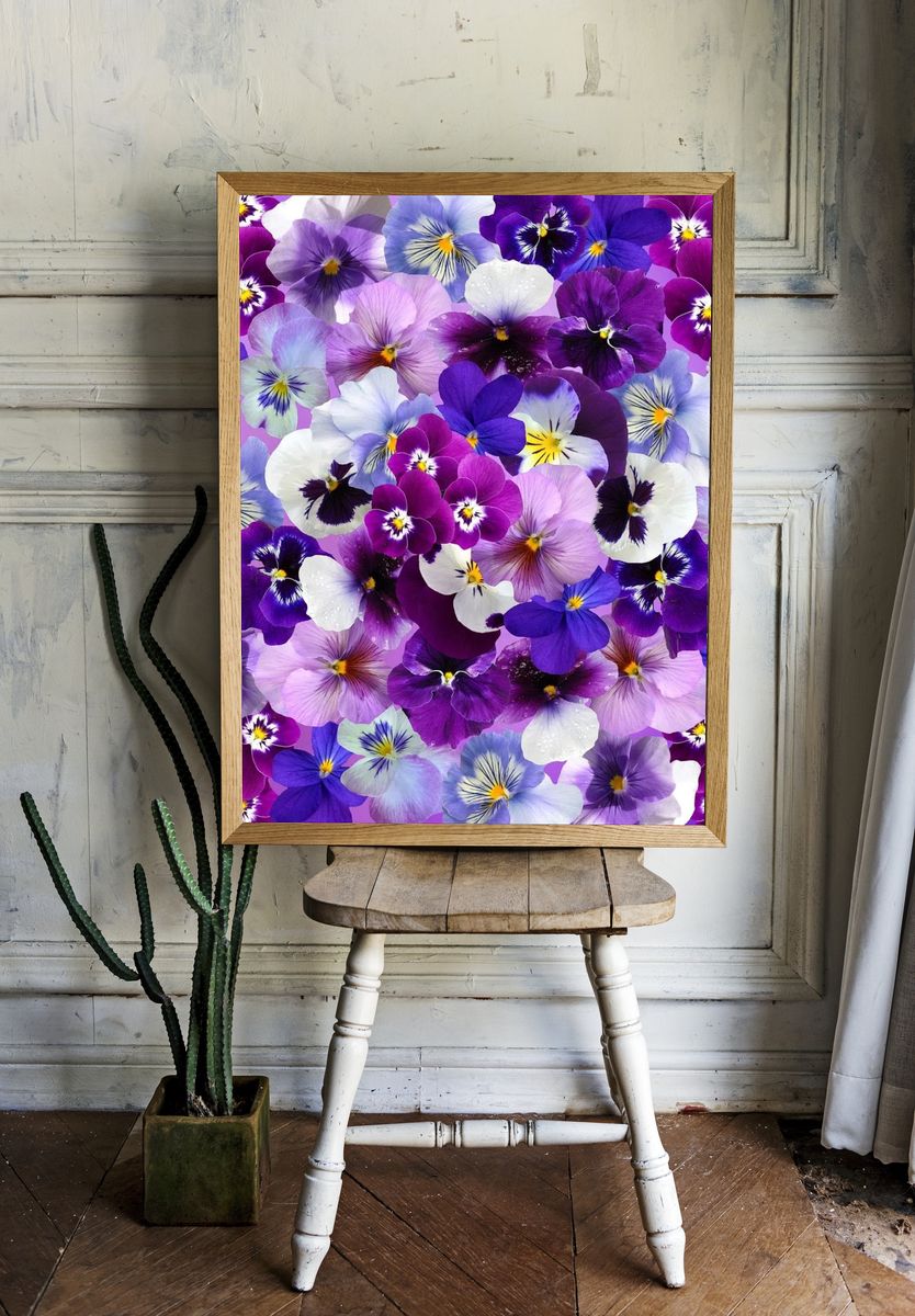 Free purple flower image, public. room preview