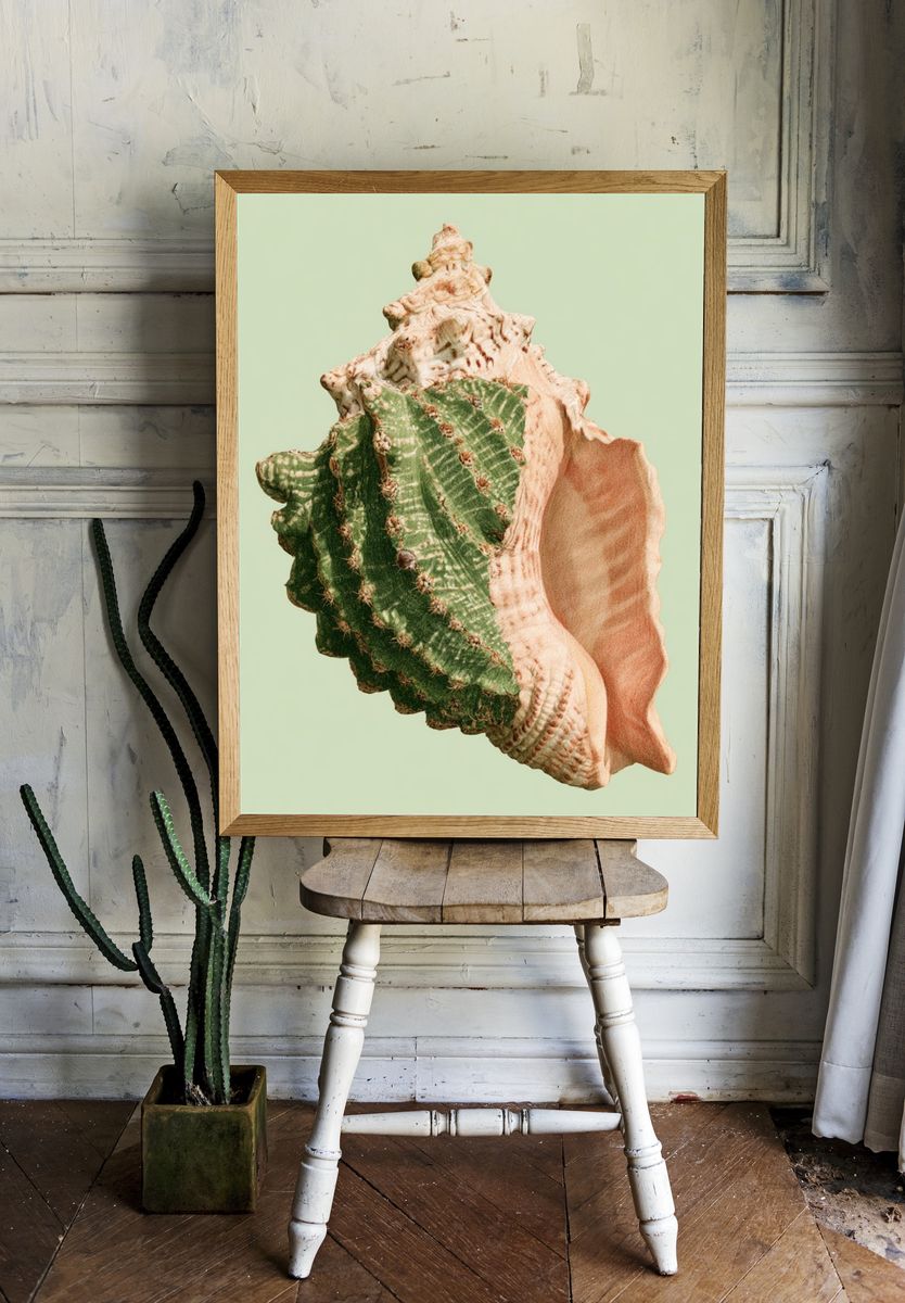 Seashell Botanical Print. room preview