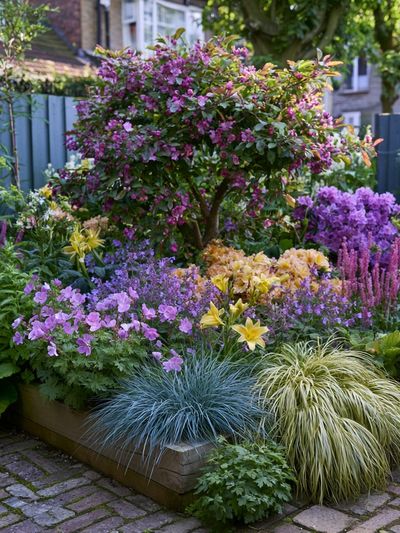 Cottage Garden Bloom Poster.
