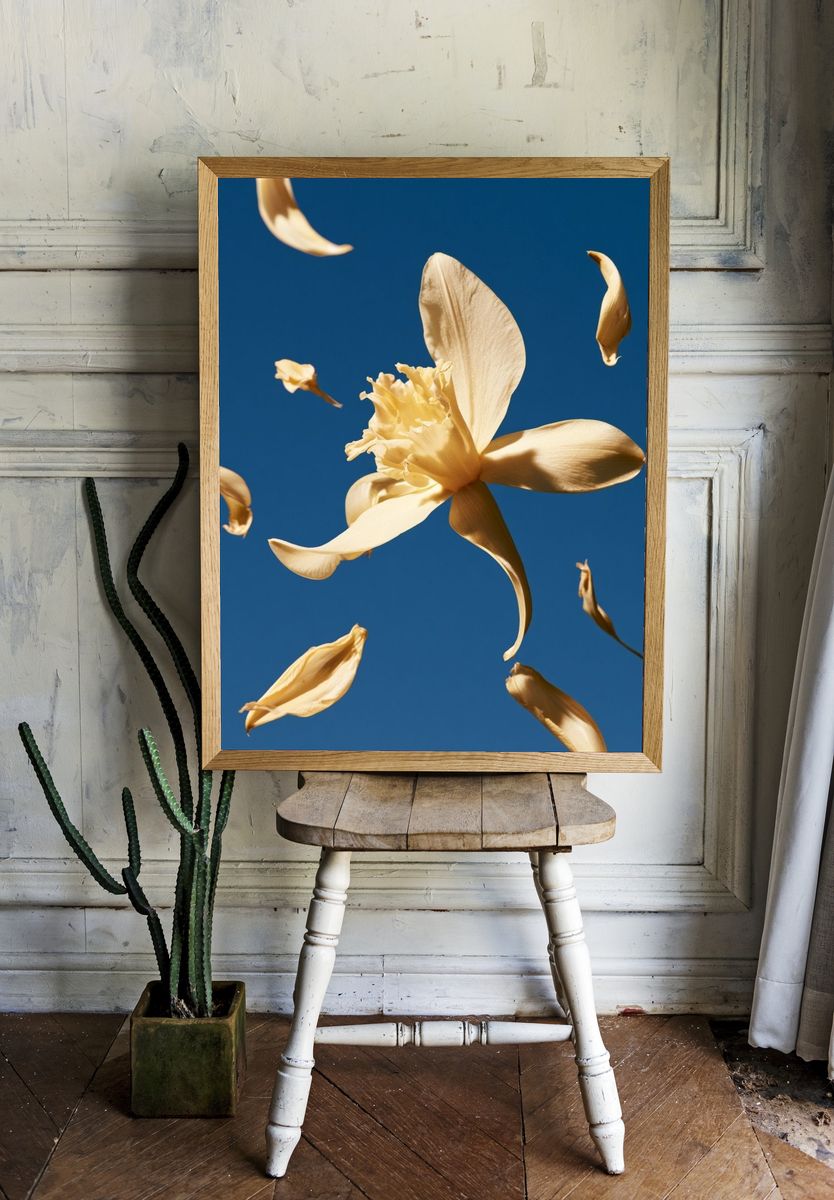 Floating Flower Petals Botanical Print. — room view 1