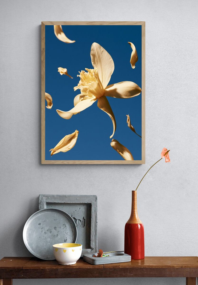 Floating Flower Petals Botanical Print. — room view 3