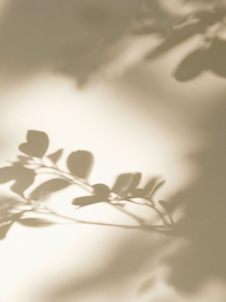 Soft Botanical Shadows Print. poster detail