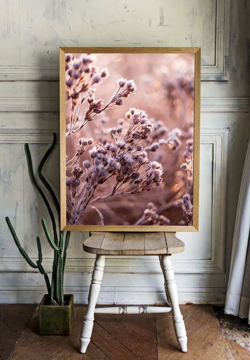 Dead flowers frozen field. — room view 1