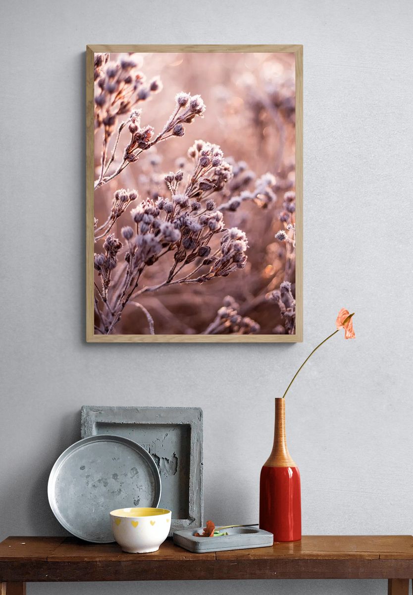 Dead flowers frozen field. — room view 3