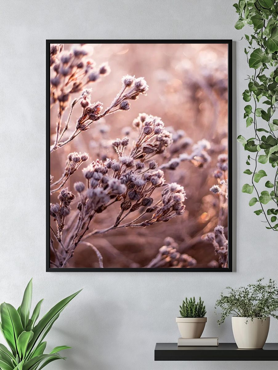 Dead flowers frozen field. — room view 4