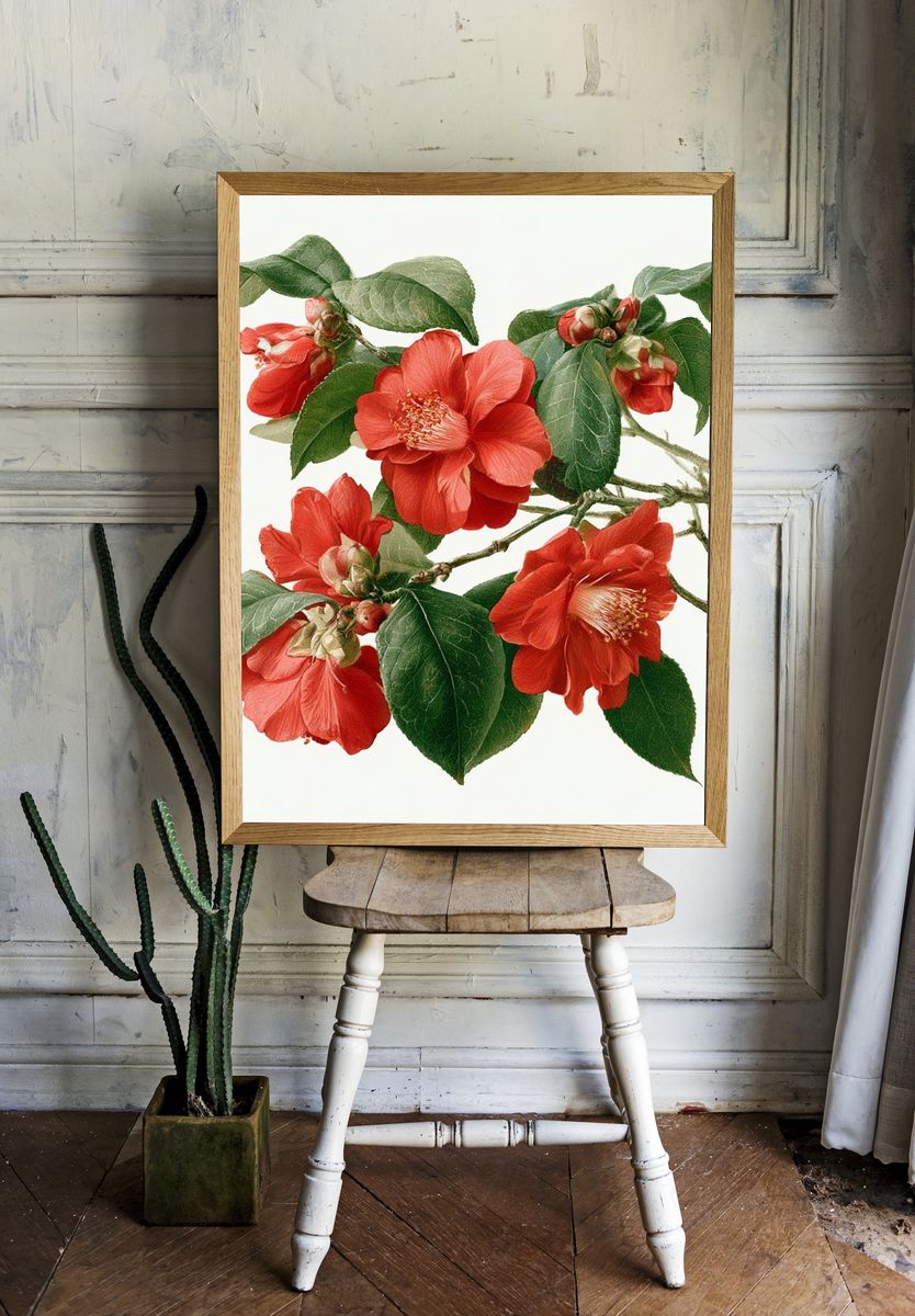 Red Camellia Botanical Print. — room view 1