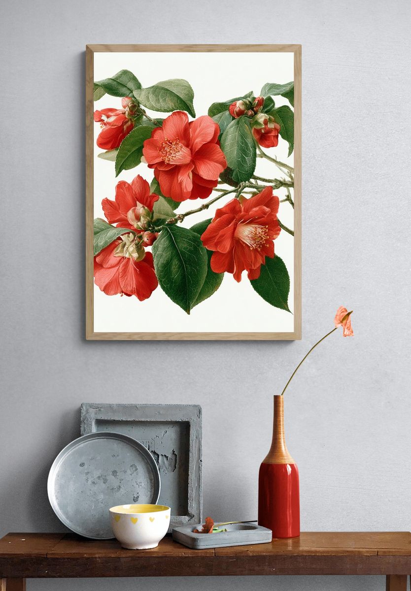 Red Camellia Botanical Print. — room view 3