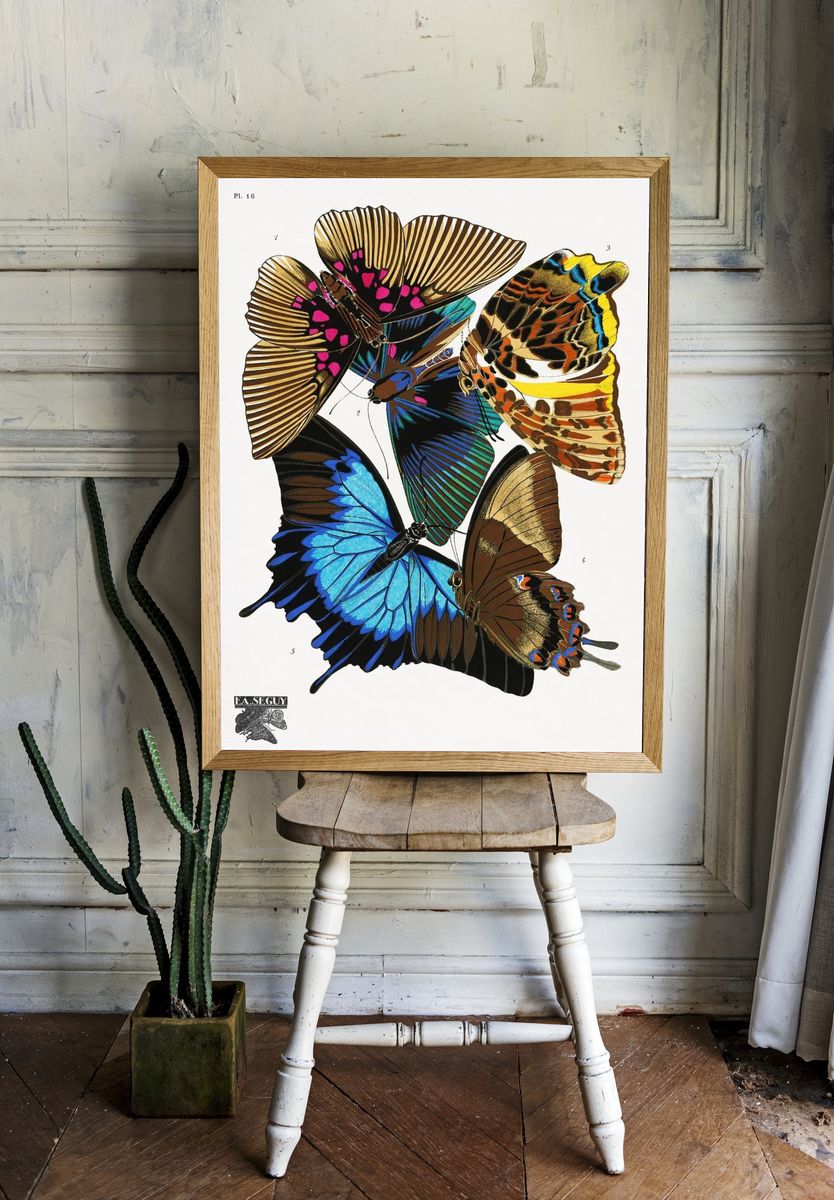 E.A. Séguy 's vintage butterflies. room preview