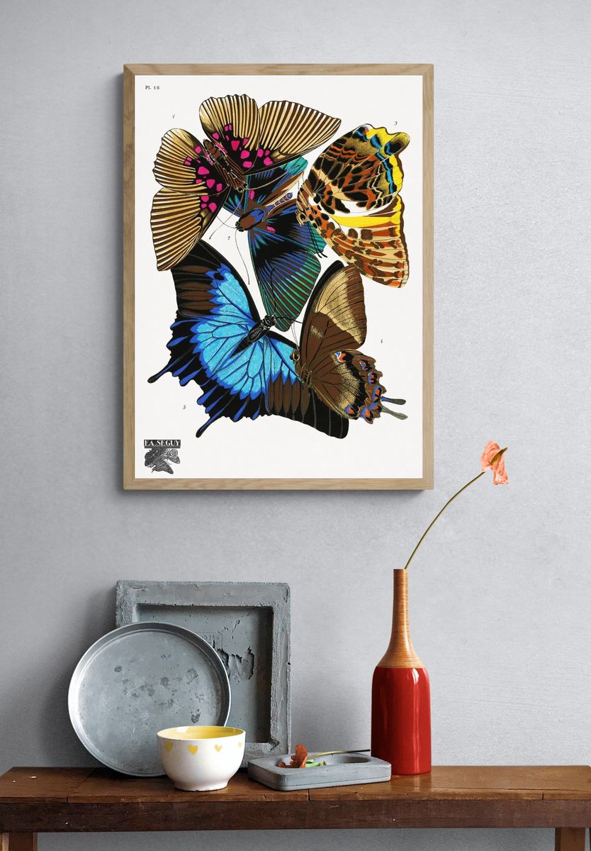 E.A. Séguy 's vintage butterflies. — room view 3
