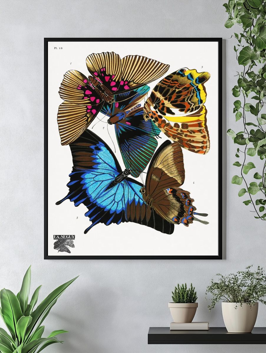 E.A. Séguy 's vintage butterflies. — room view 4